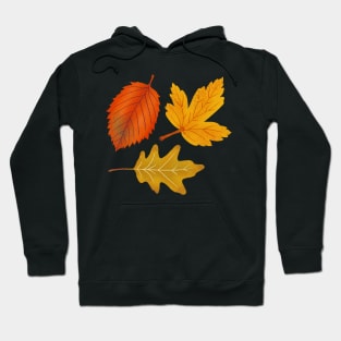 Fall Leaf Pattern Autumn Leaves Hoodie